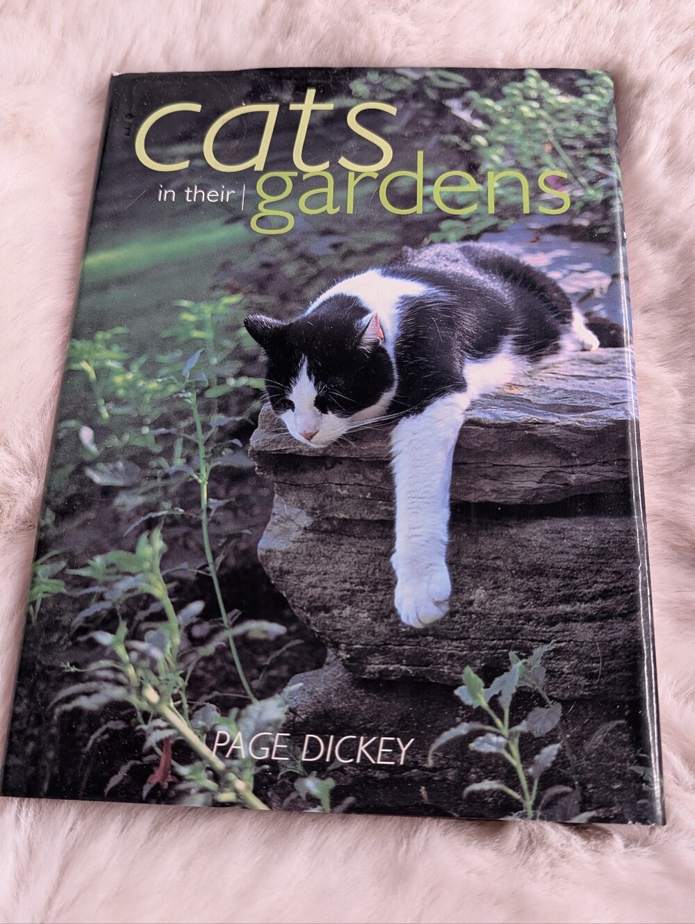 Cats in Their Gardens Book